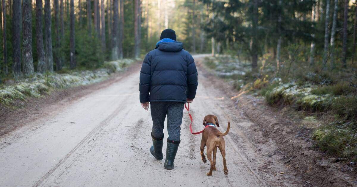 man walking with dog