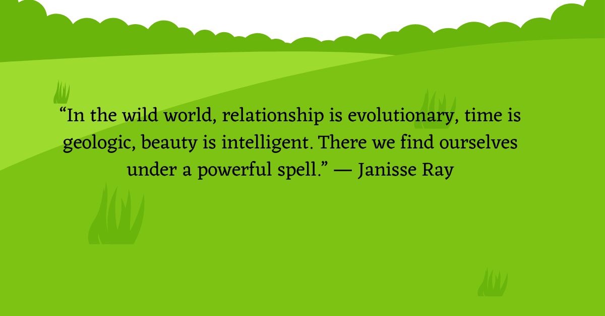 Garphic of one of the camping quotes: “In the wild world, relationship is evolutionary, time is geologic, beauty is intelligent. There we find ourselves under a powerful spell.” ― Janisse Ray