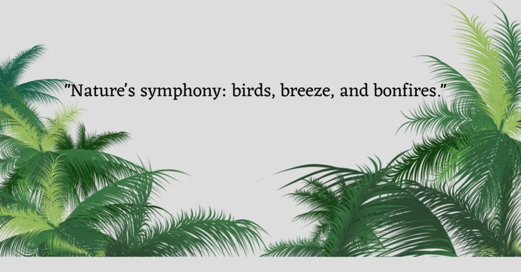 Graphic with the camping caption: "Nature's symphony: birds, breeze, and bonfires."