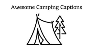 Graphic with the words: Awesome camping captions