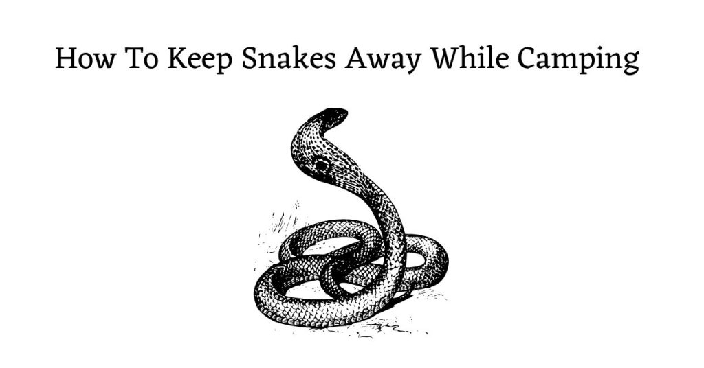 Graphic with the words: "How to keep snakes away while camping"
