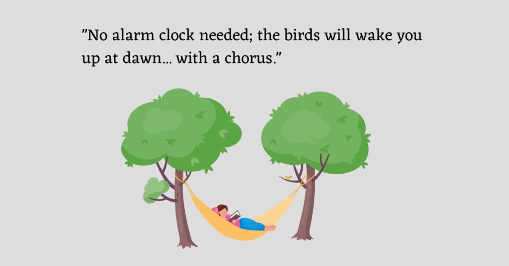 Graphic with the camping caption: "No alarm clock needed; the birds will wake you up at dawn... with a chorus."