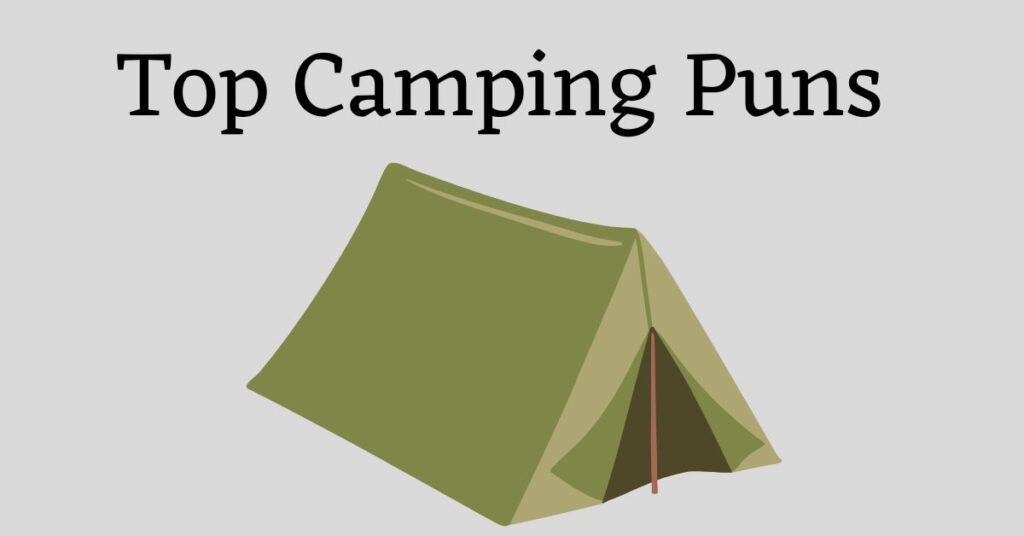 Graphic with the words: Top camping puns