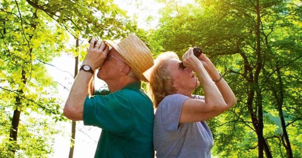 Senior campers in the woods using binoculars