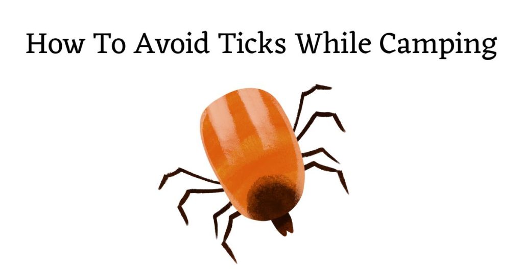 Picture of tick